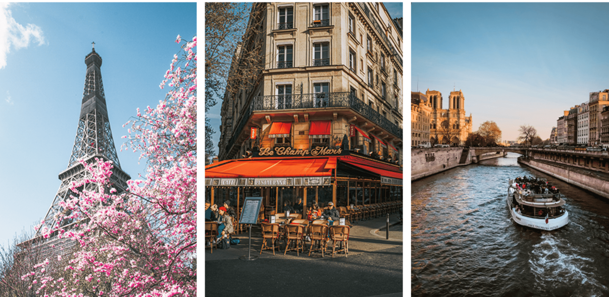 At the Table in Paris Books