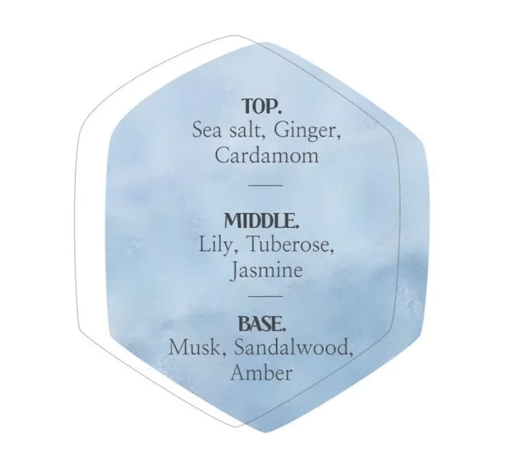 Best Beauty Group - MEDIFLOWER Delicat Hand Cream Lotion