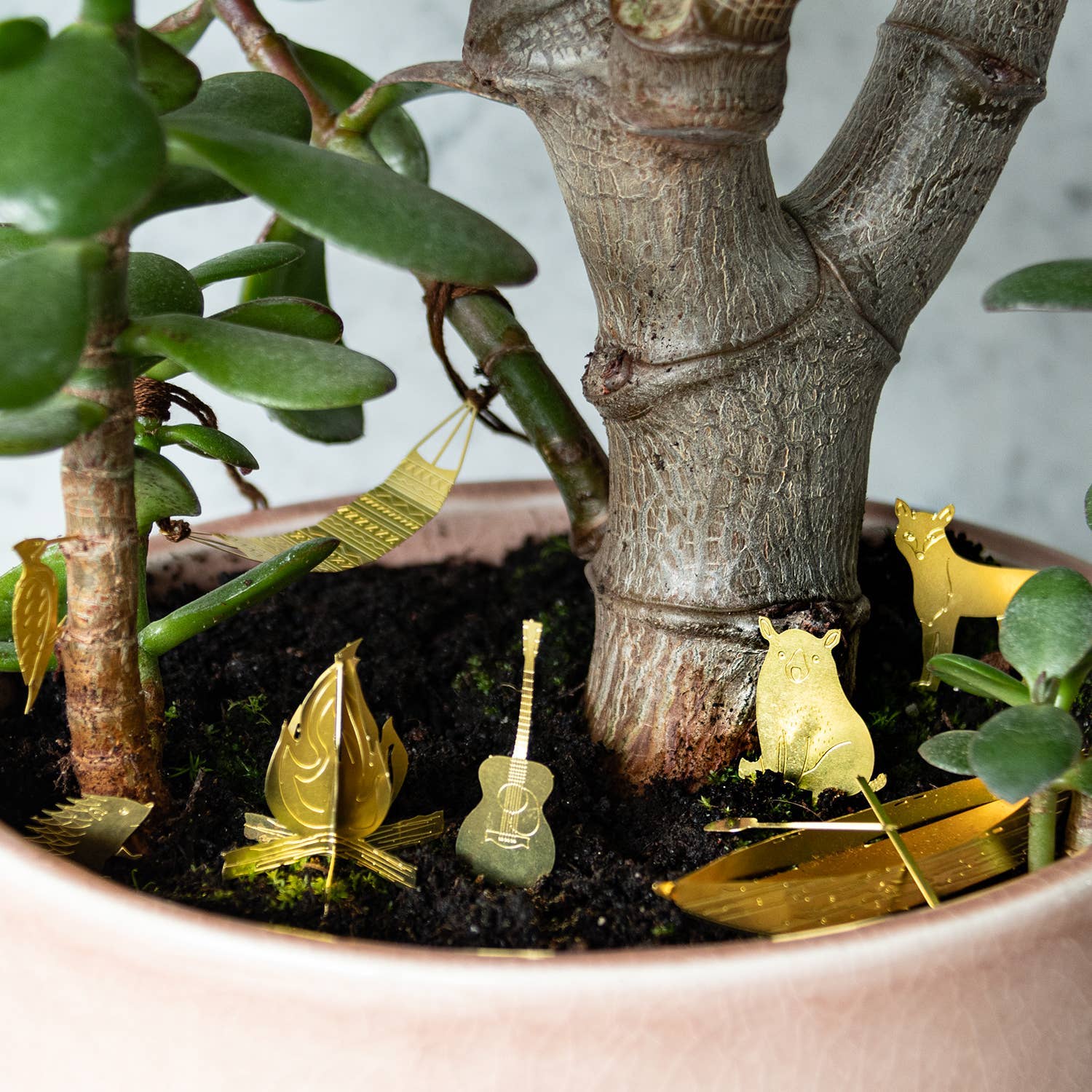 Botanopia USA - gifts , decor and cards for plant lovers - Tiny Camping for your plants