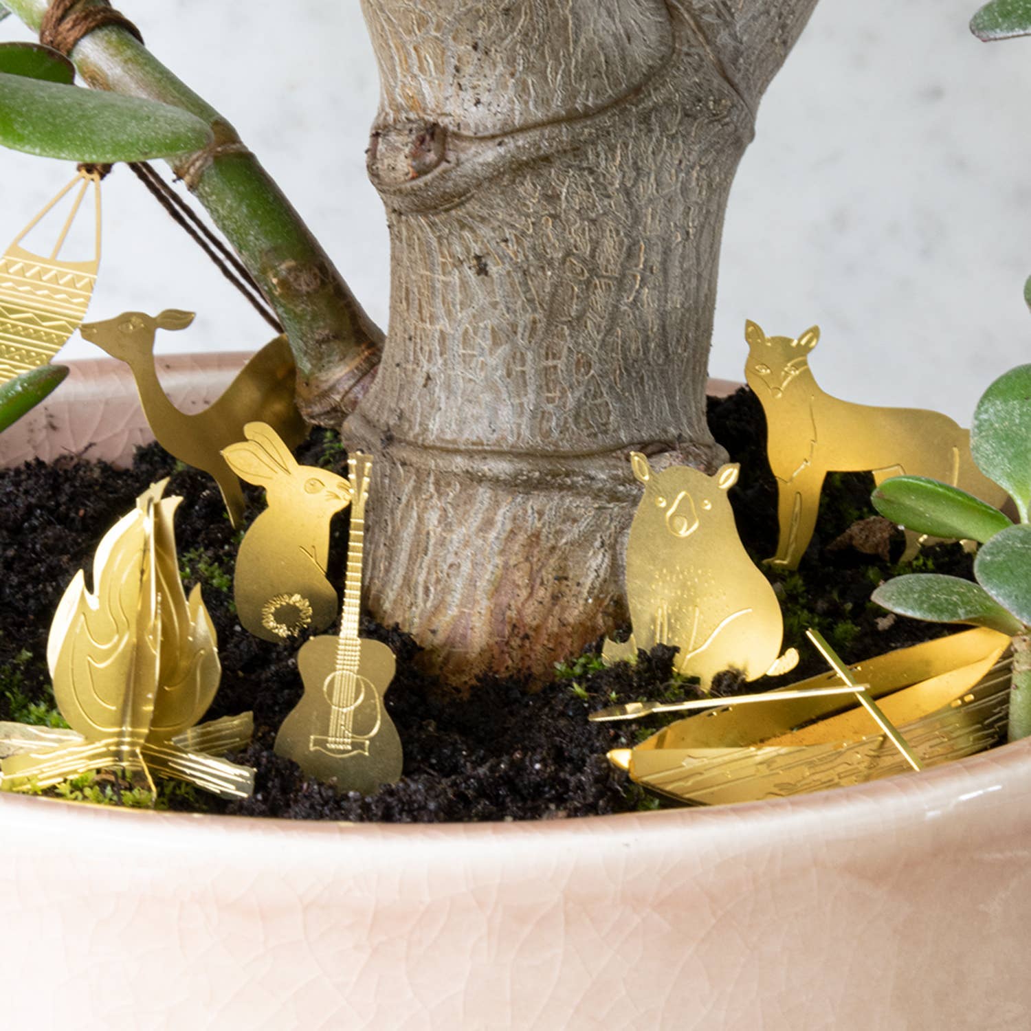 Botanopia USA - gifts , decor and cards for plant lovers - Tiny Camping for your plants