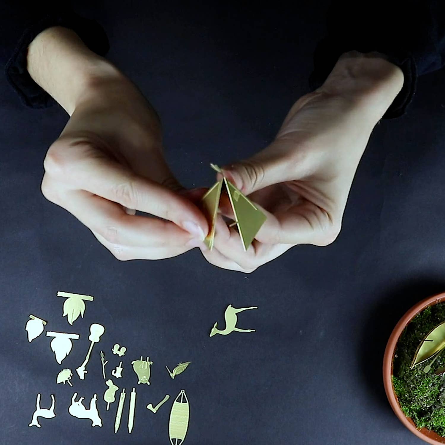 Botanopia USA - gifts , decor and cards for plant lovers - Tiny Camping for your plants