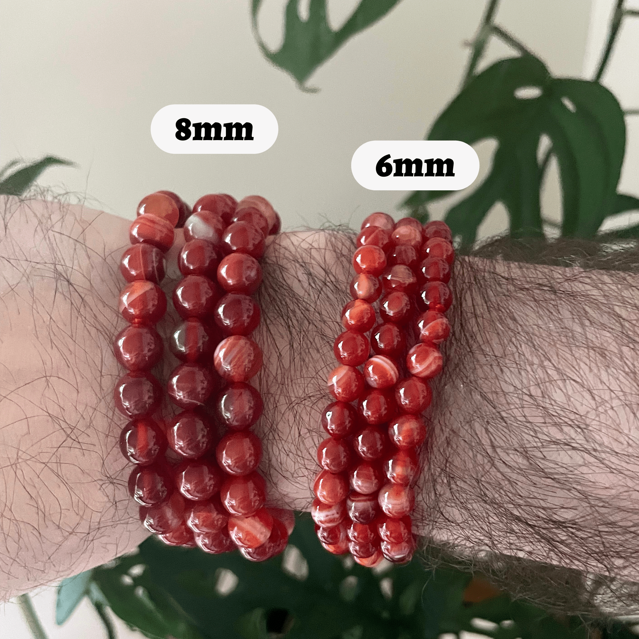 Carnelian Bracelet Bracelets + Anklets