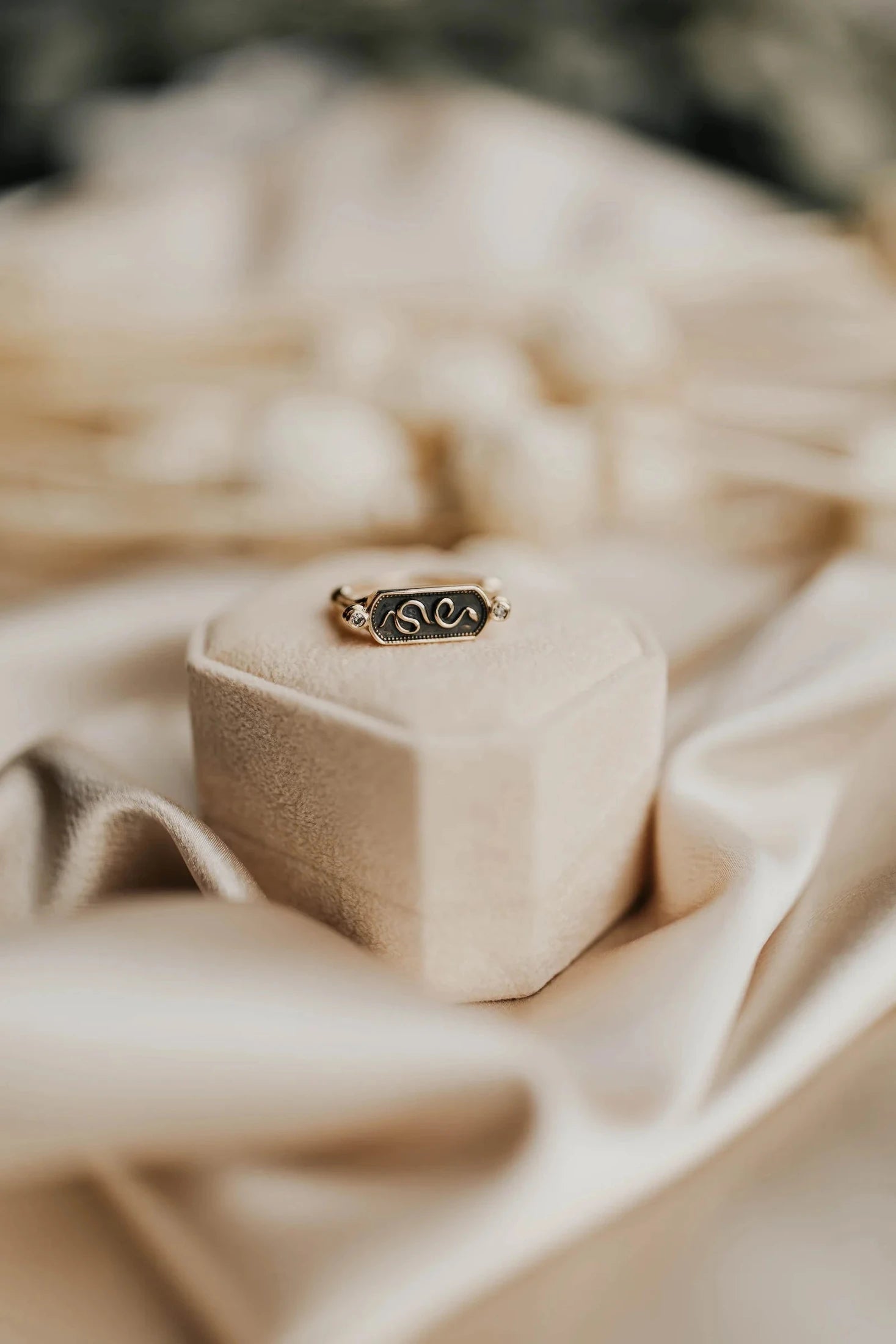 Ceylon - Snake Ring Rings