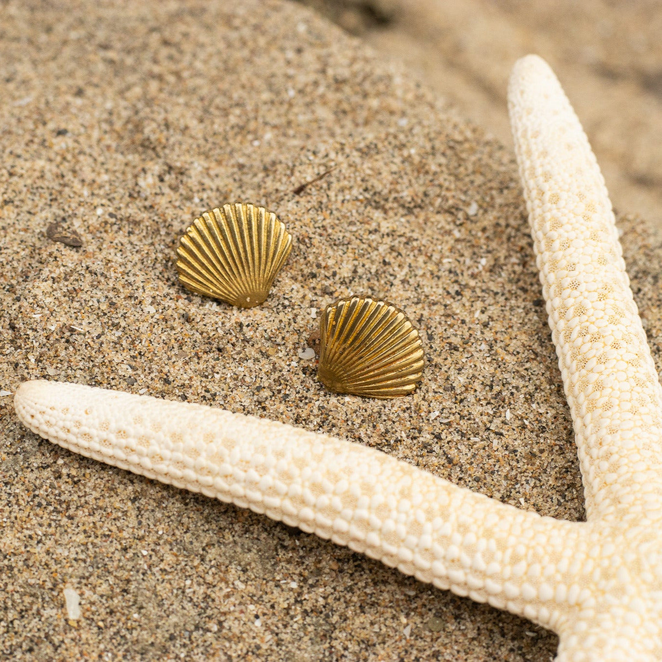 Coquillage Studs Earrings