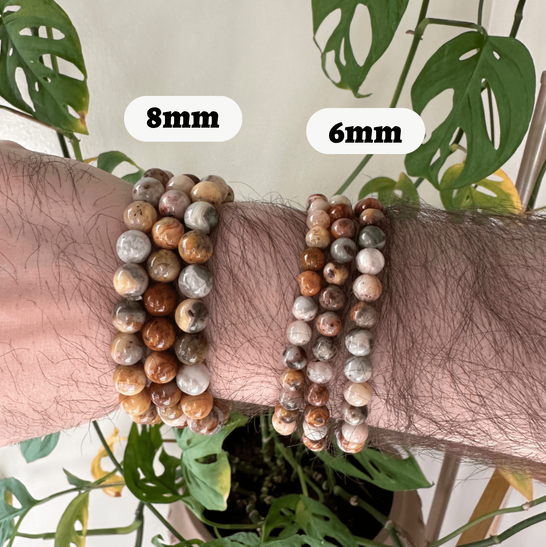 Crazy Lace Agate Bracelet Bracelets + Anklets