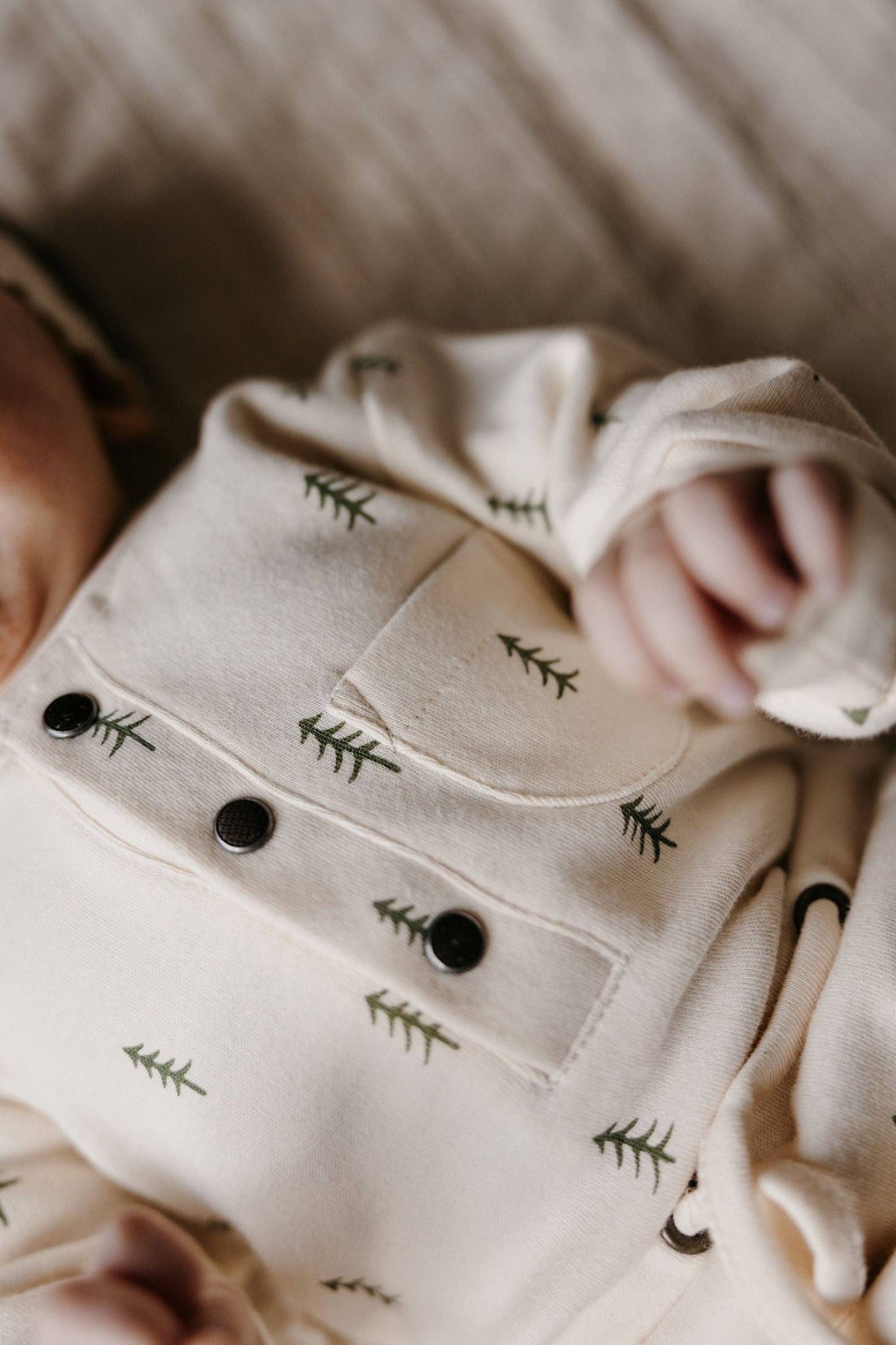 L'ovedbaby - Buttercream Tree | Organic Henley Sweatshirt & Jogger Set