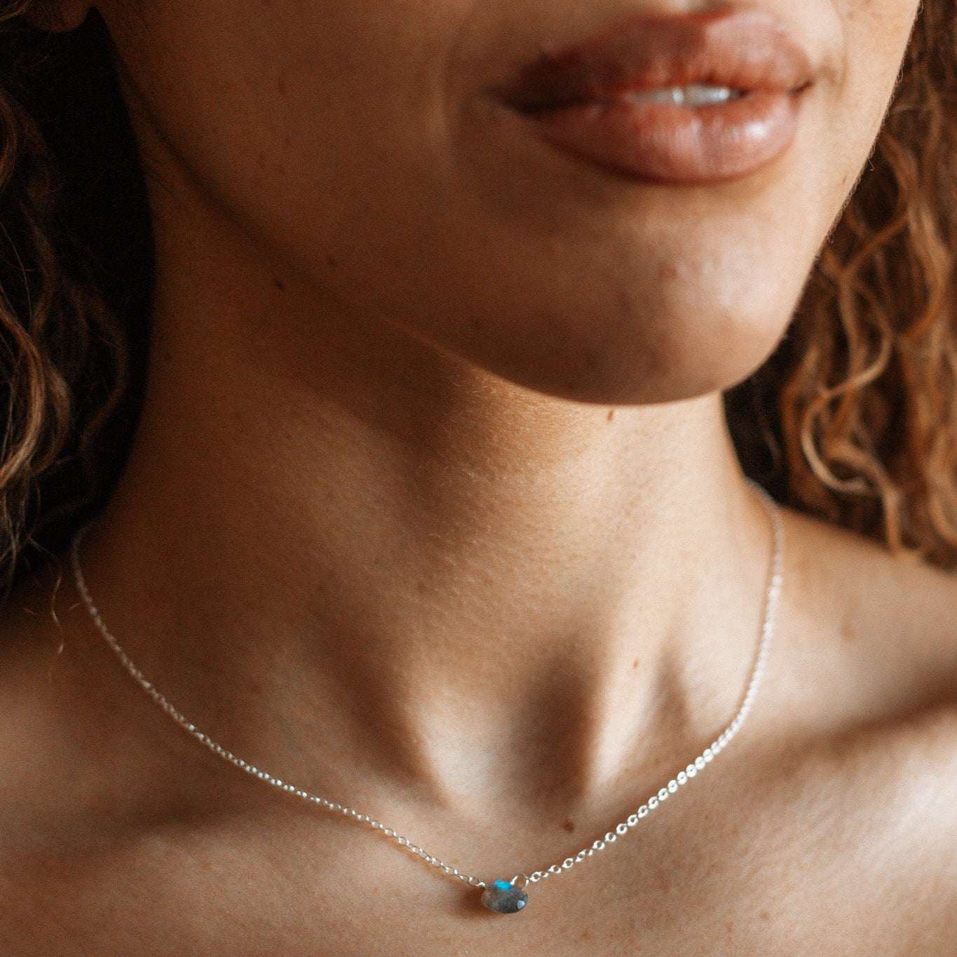 Labradorite Drop Necklace Necklaces