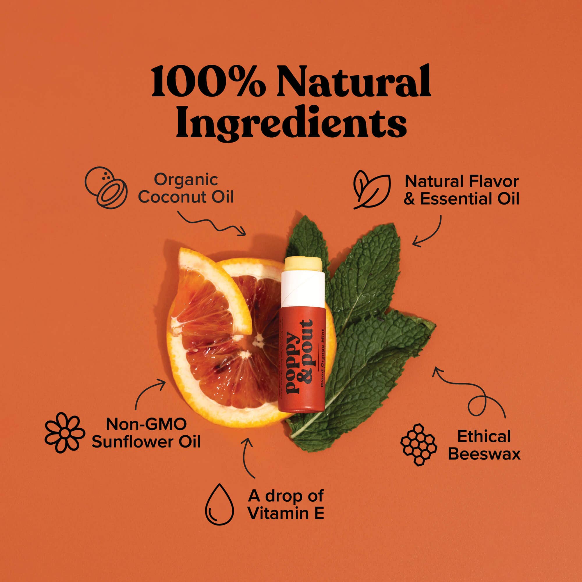 Lip Balm - Blood Orange Mint Skin + Body