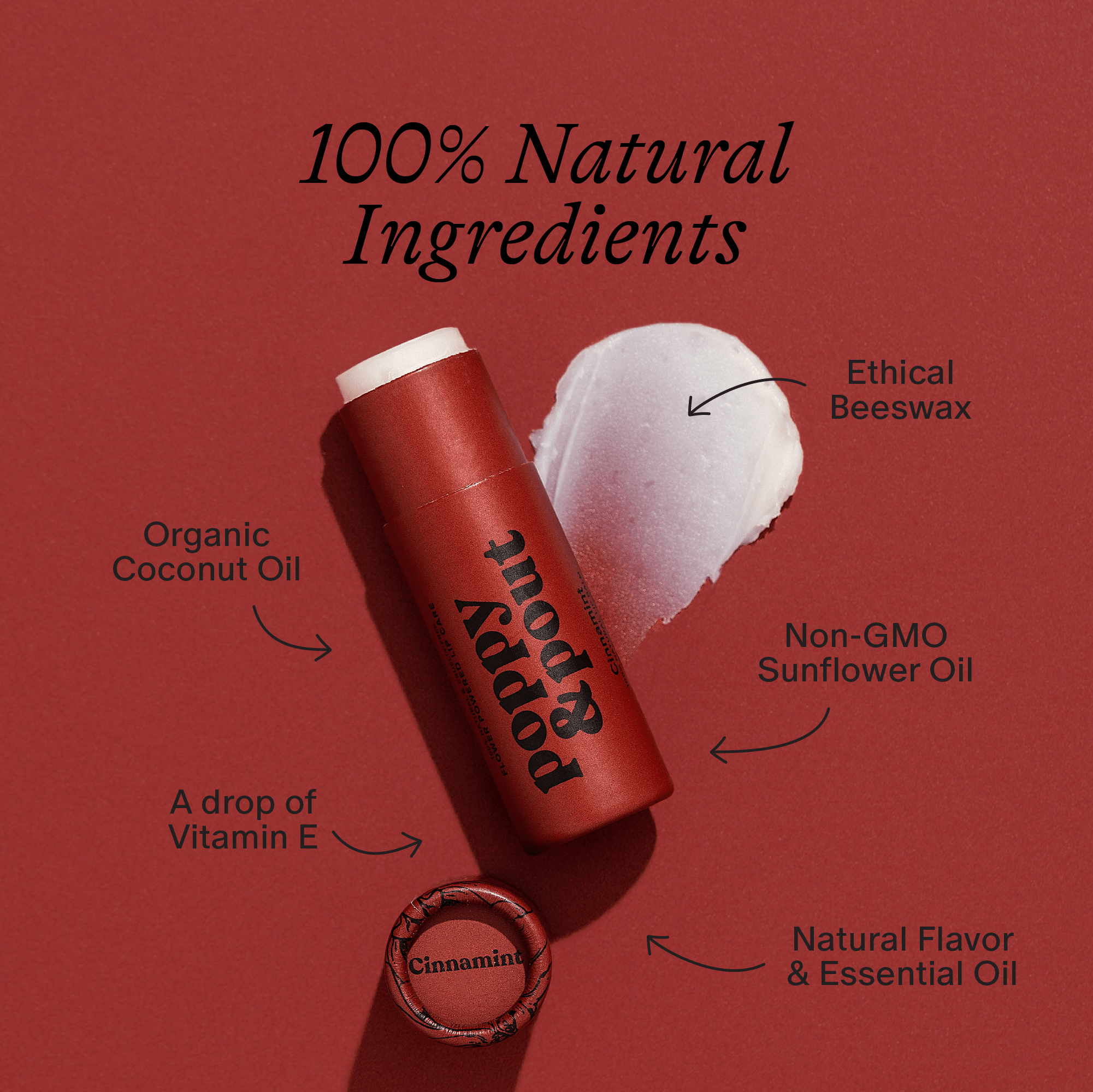 Lip Balm - Cinnamint Skin + Body