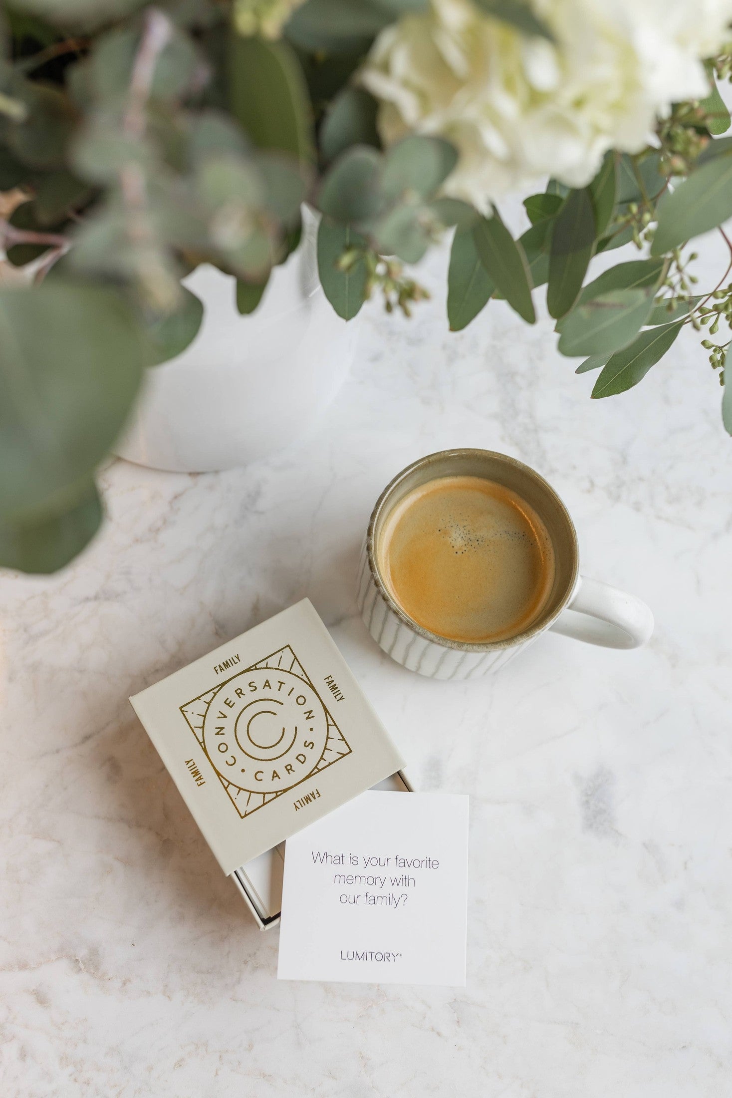 Lumitory - Family Conversation Cards: 12 Sets with Free Display