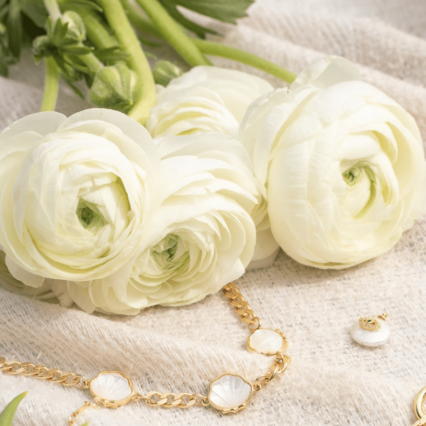 Mother of Pearl Shell Bracelet Bracelets