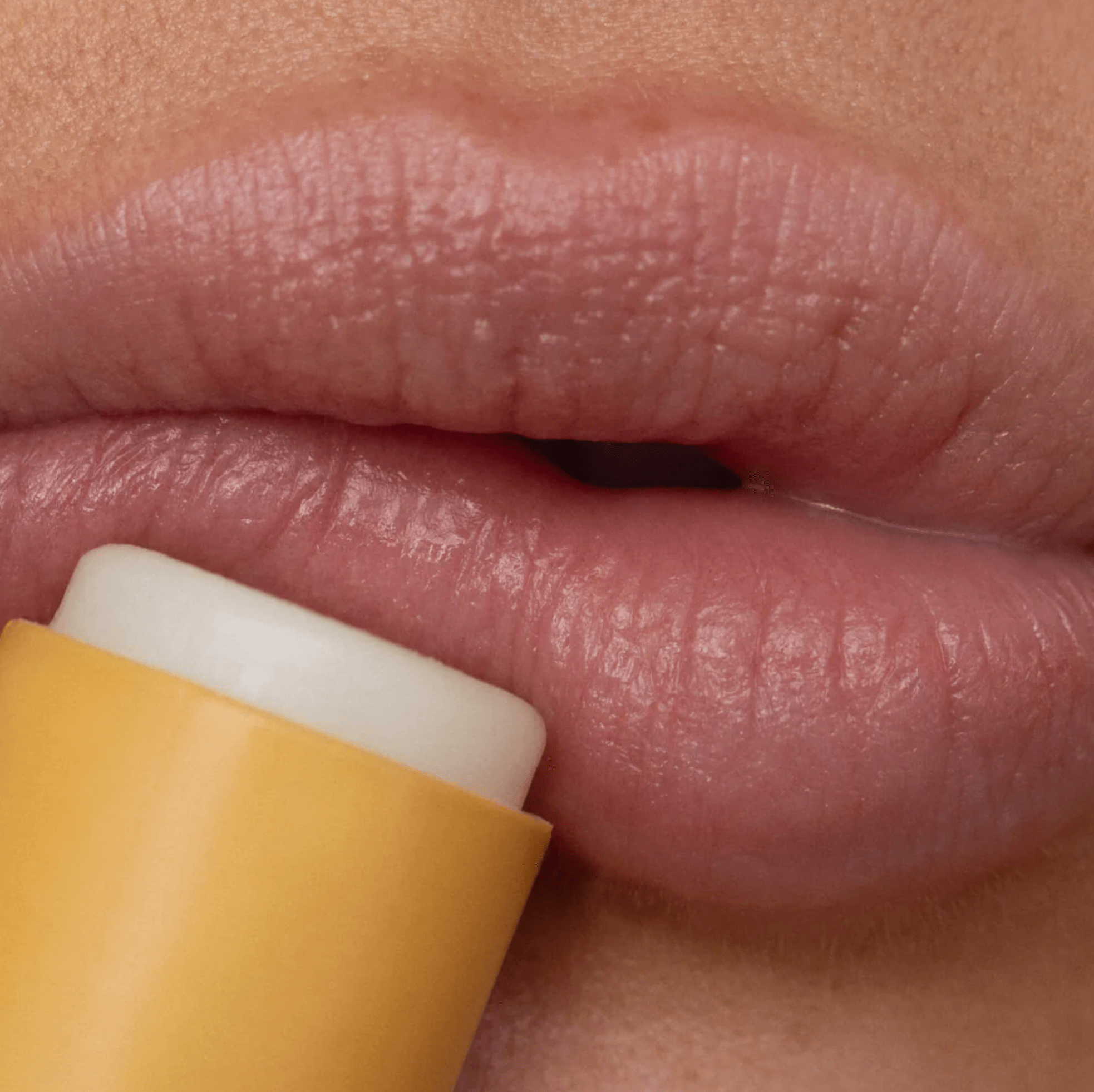 Poppy & Pout - Lemon Bloom