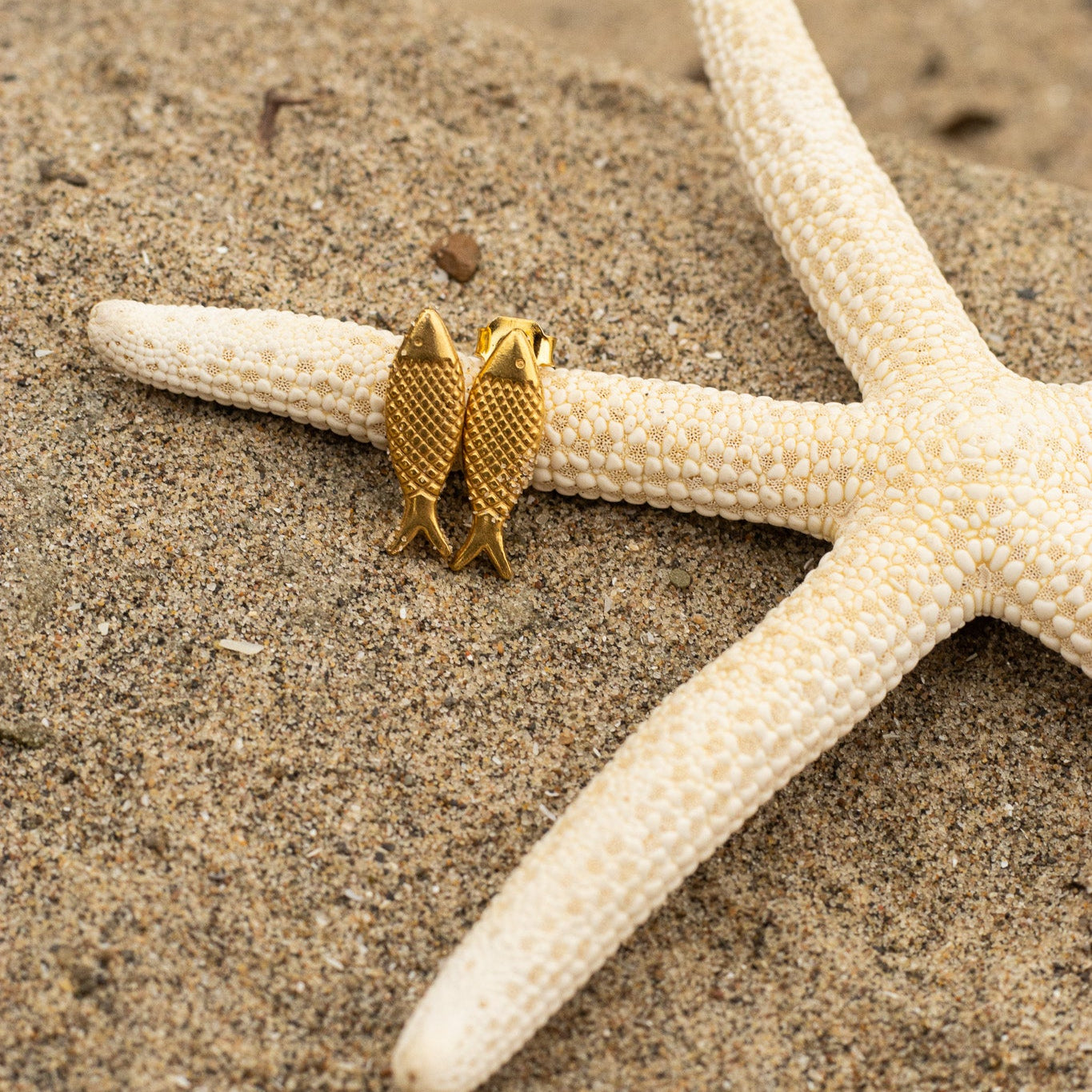 Sardine Studs Earrings