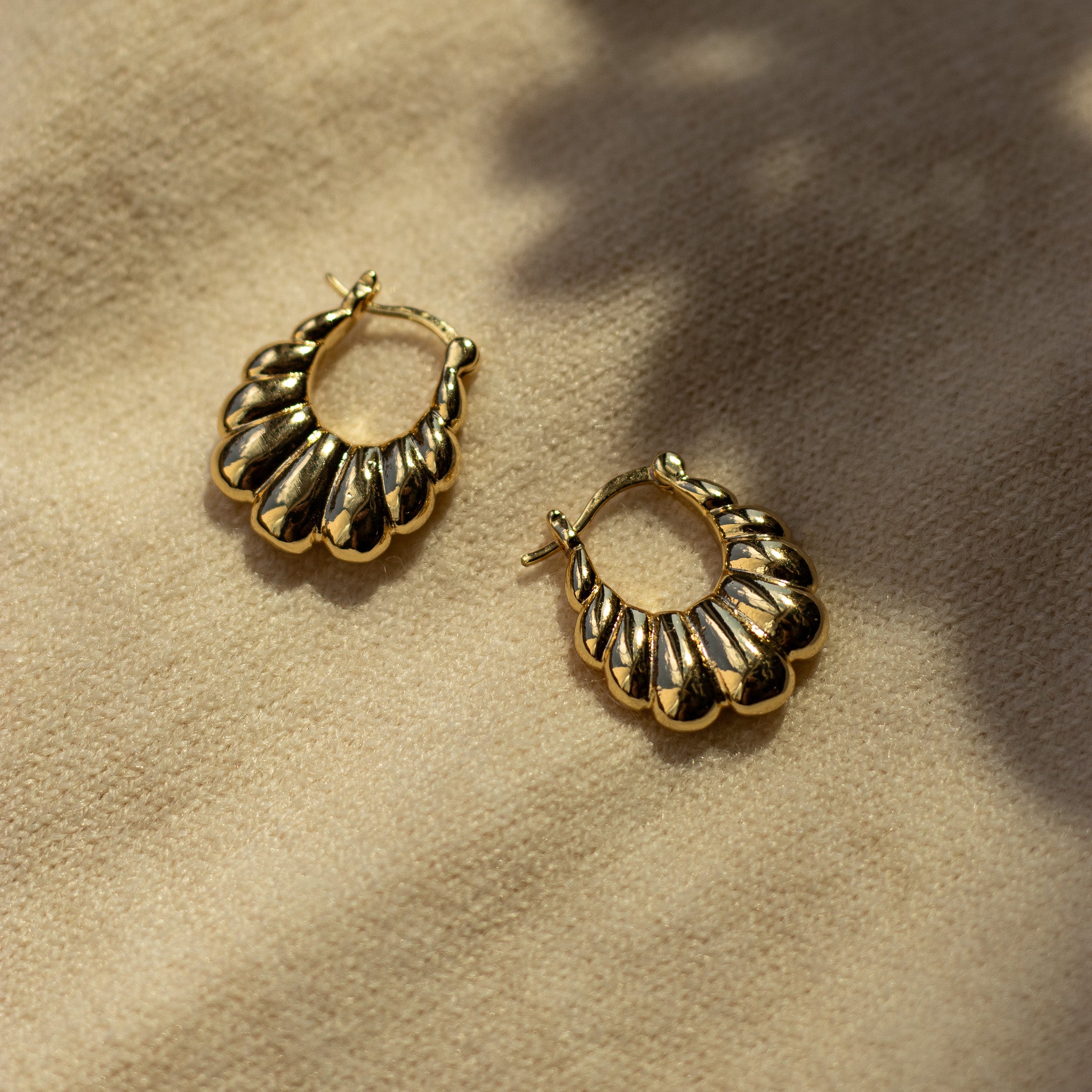 Sophie Hoops Earrings