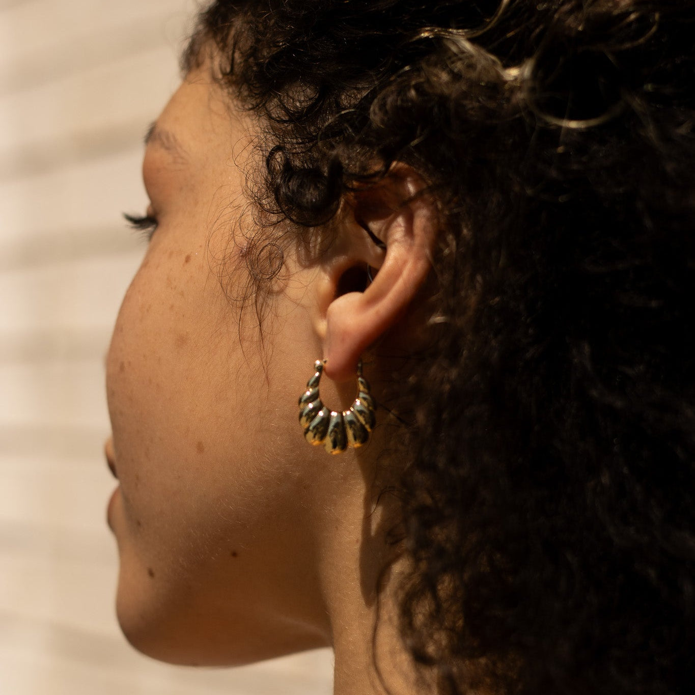 Sophie Hoops Earrings