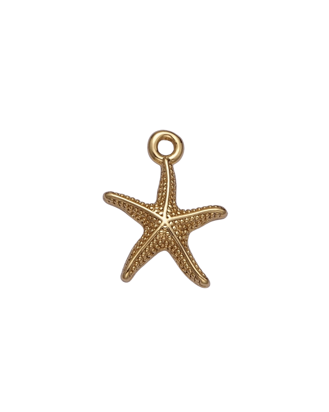 Starfish Charm Charms