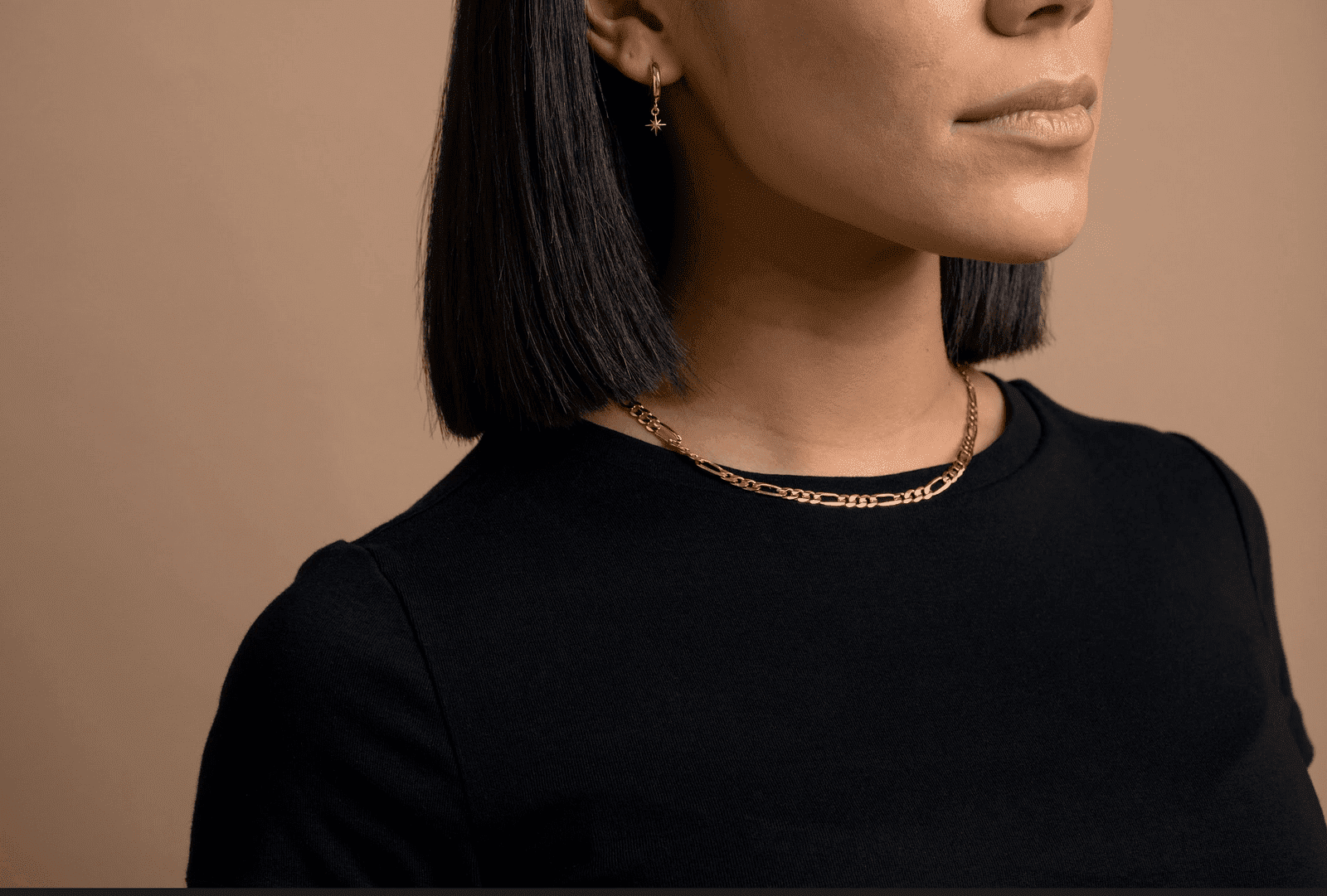 Small Charm Hoop Earrings Earrings