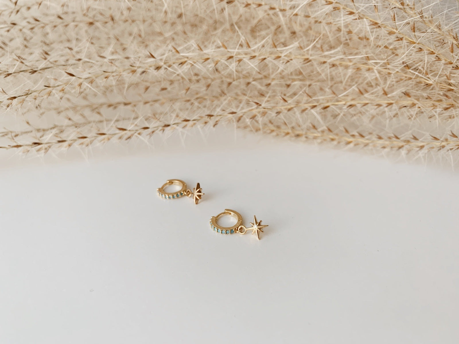 Small Charm Hoop Earrings Earrings