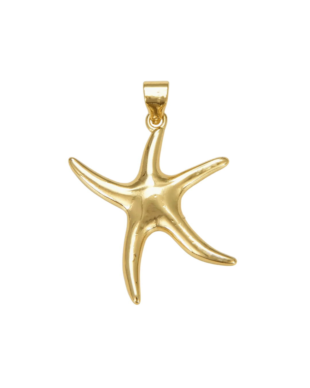 Big Starfish Charm Charms