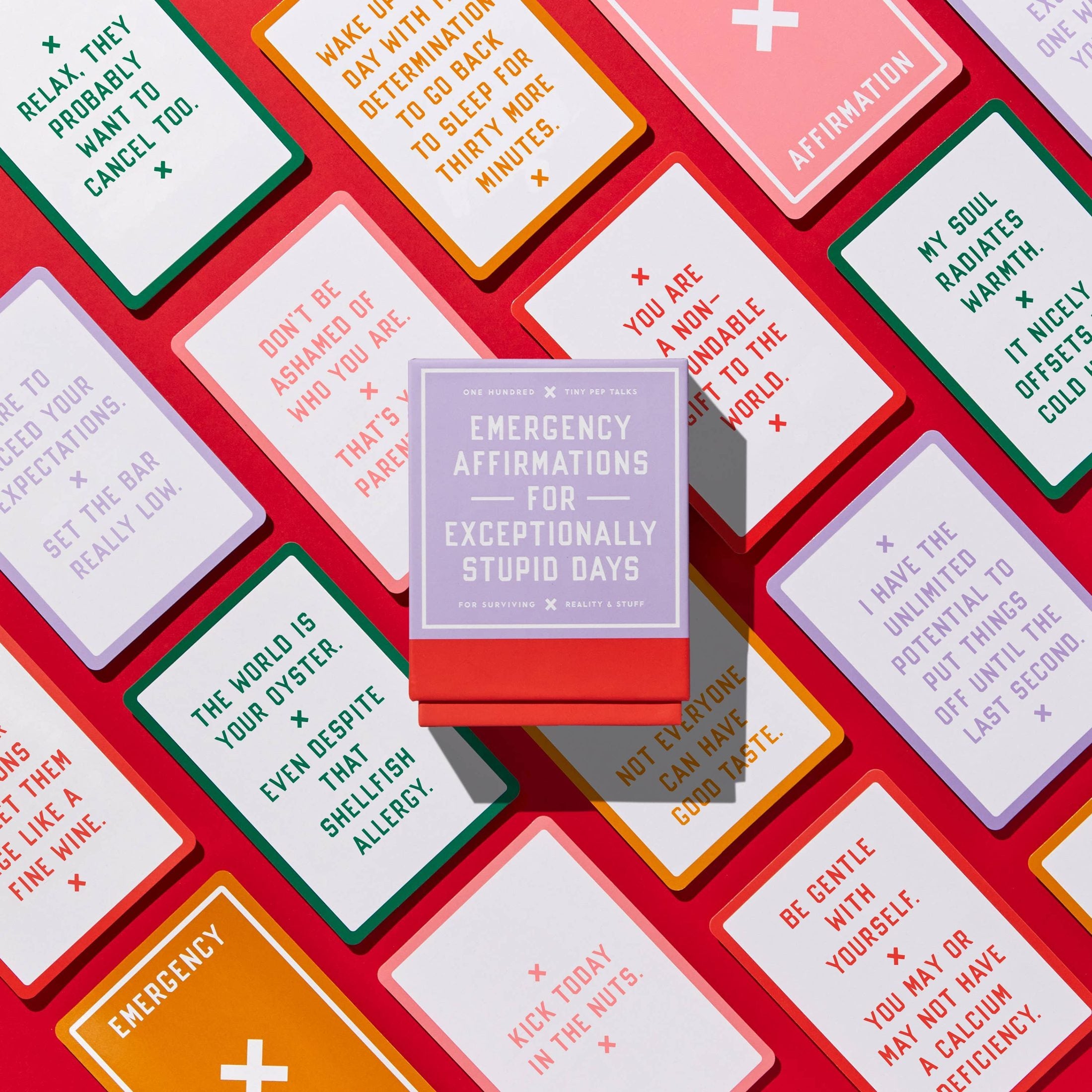 Chronicle Books - Brass Monkey Emergency Affirmations Exceptionally Stupid Days Card Deck 