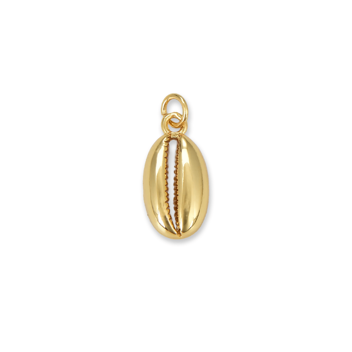 Cowrie Shell Charm Charms