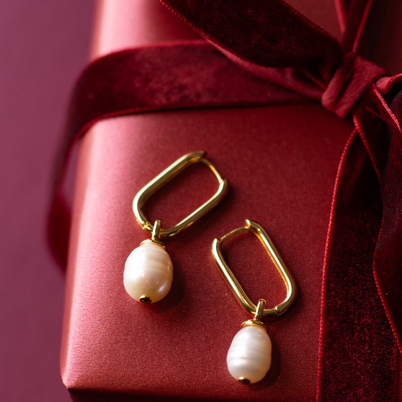 Karina Hoops Earrings