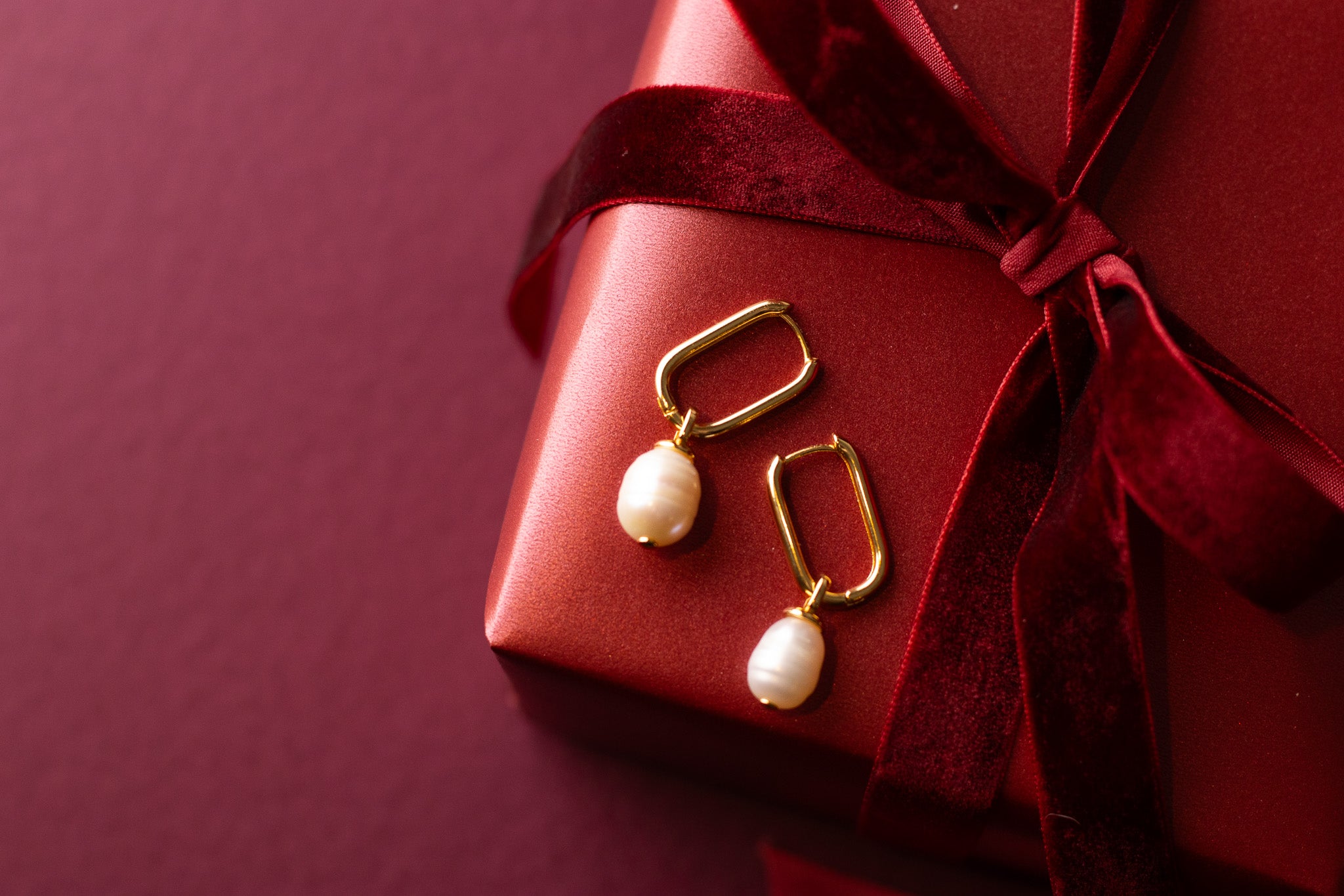 Karina Hoops Earrings