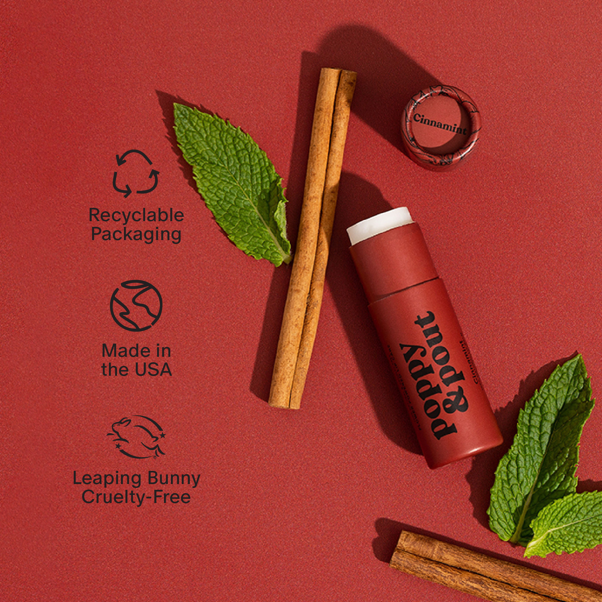 Lip Balm - Cinnamint Skin + Body