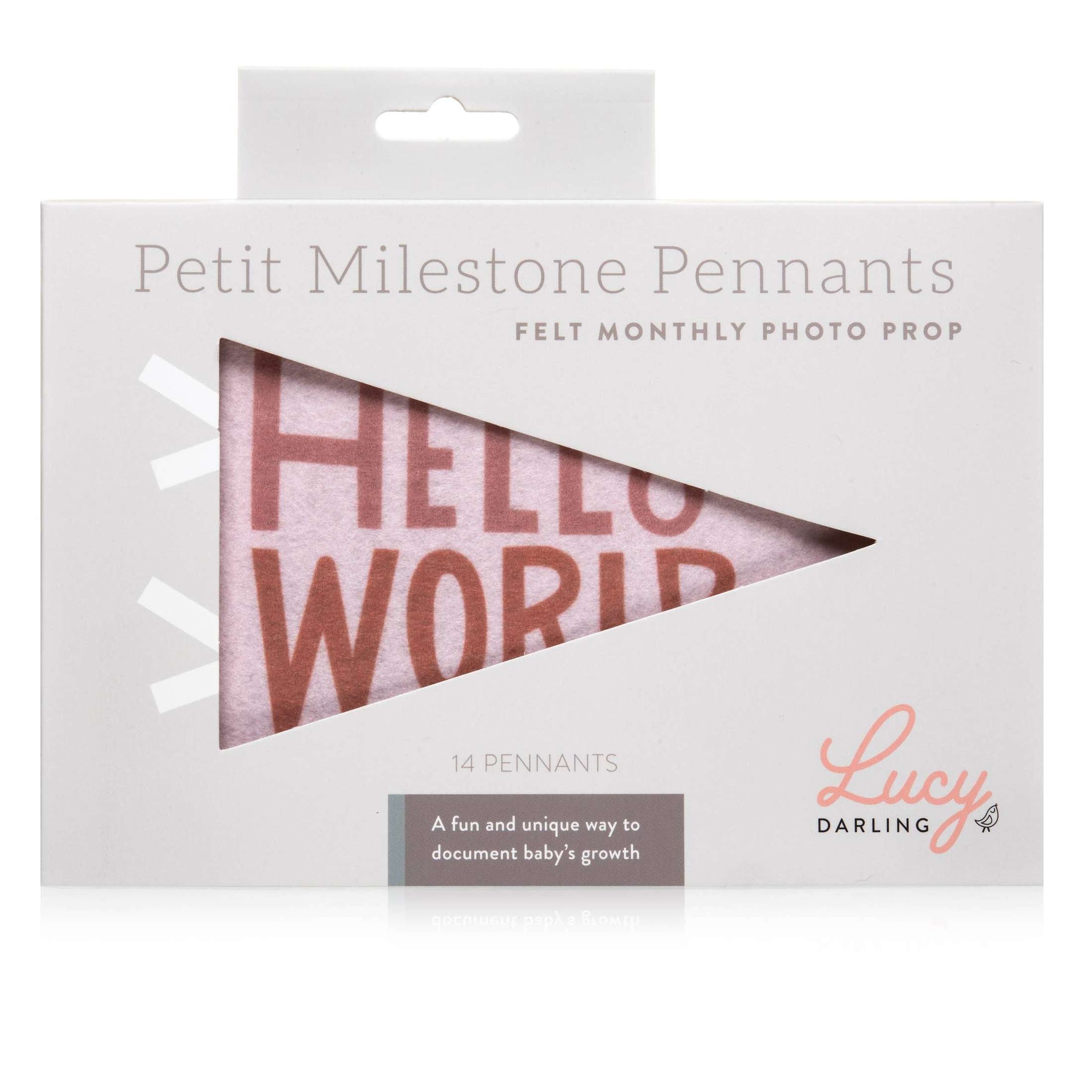 Mountain Fields Petit Milestone Pennant Babies + Kids