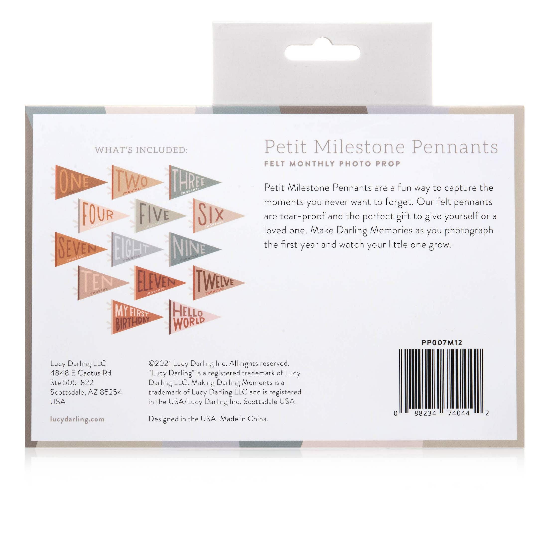 Mountain Fields Petit Milestone Pennant Babies + Kids