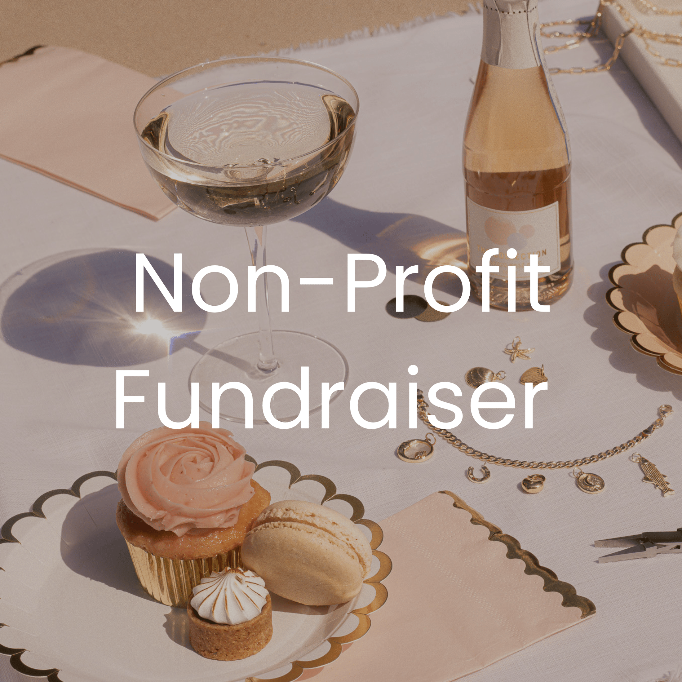 Non-Profit Fundraiser Private Party