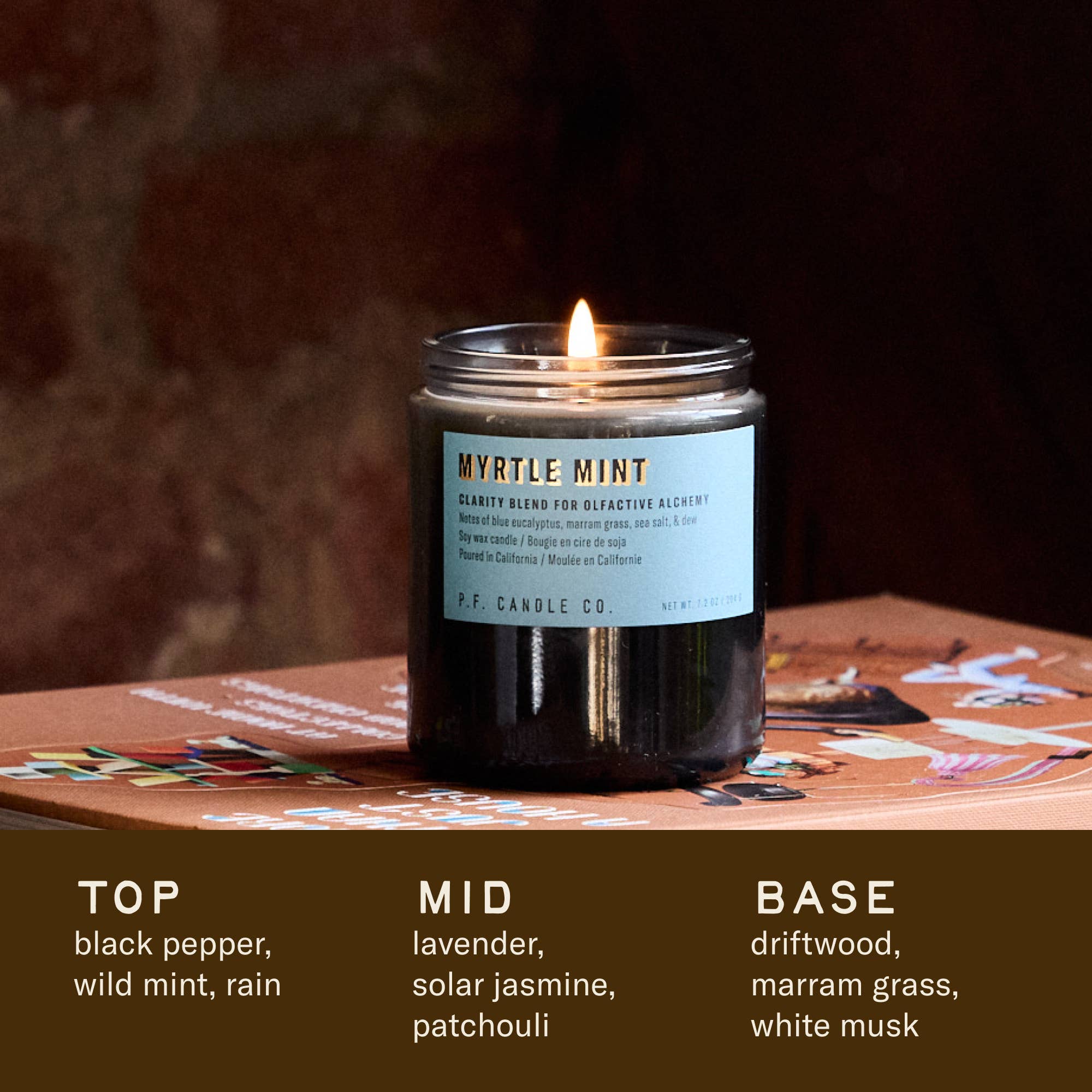 P.F. Candle Co. - Myrtle Mint - 7.2 oz Alchemy Soy Candle 
