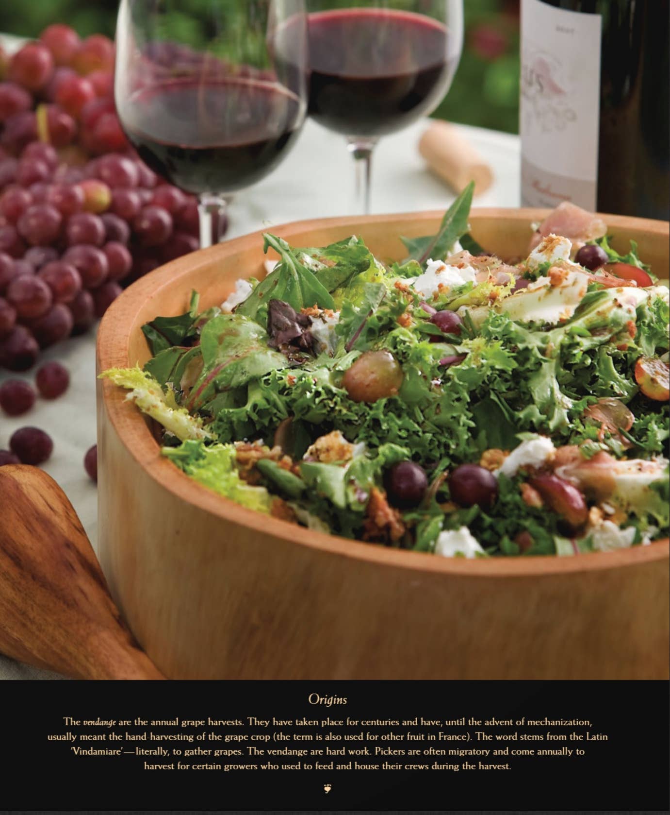 Pascale's Kitchen - A Menu for all Seasons—Autumn 