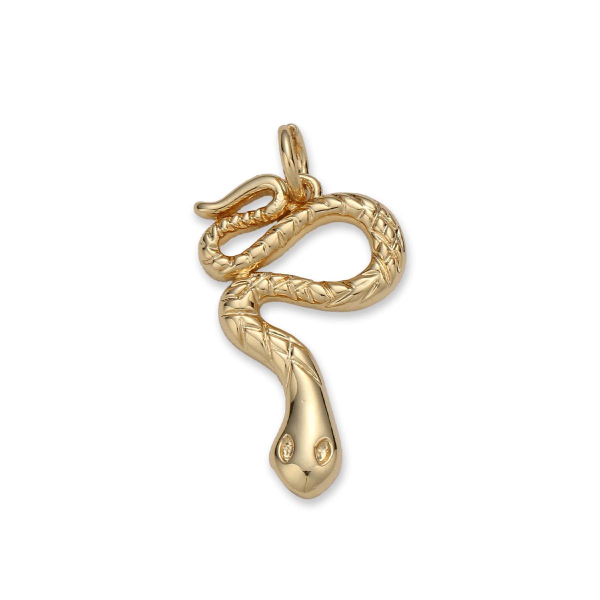 Snake Charm Charms