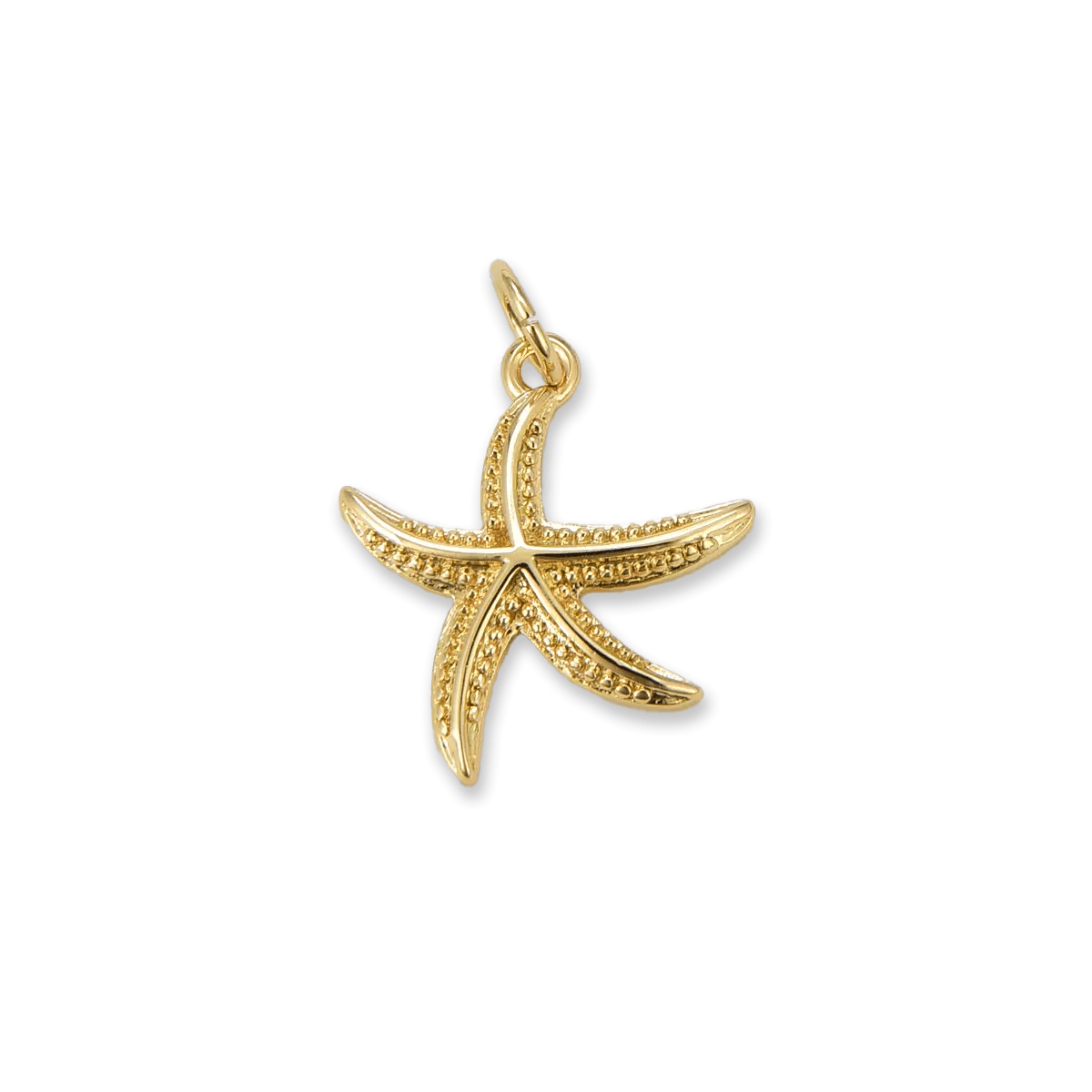 Starfish Charm Charms