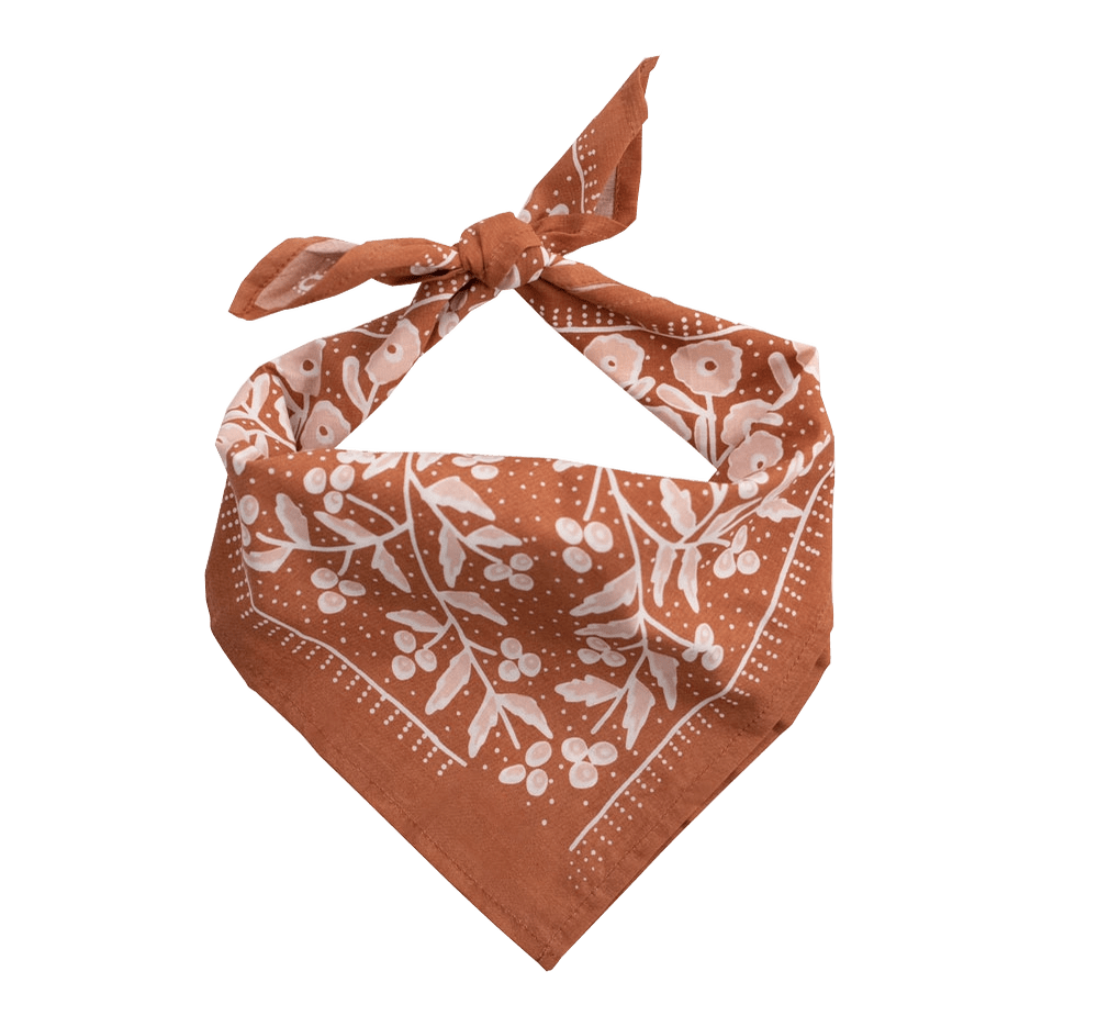 Terra Bandana Hats + Bandanas