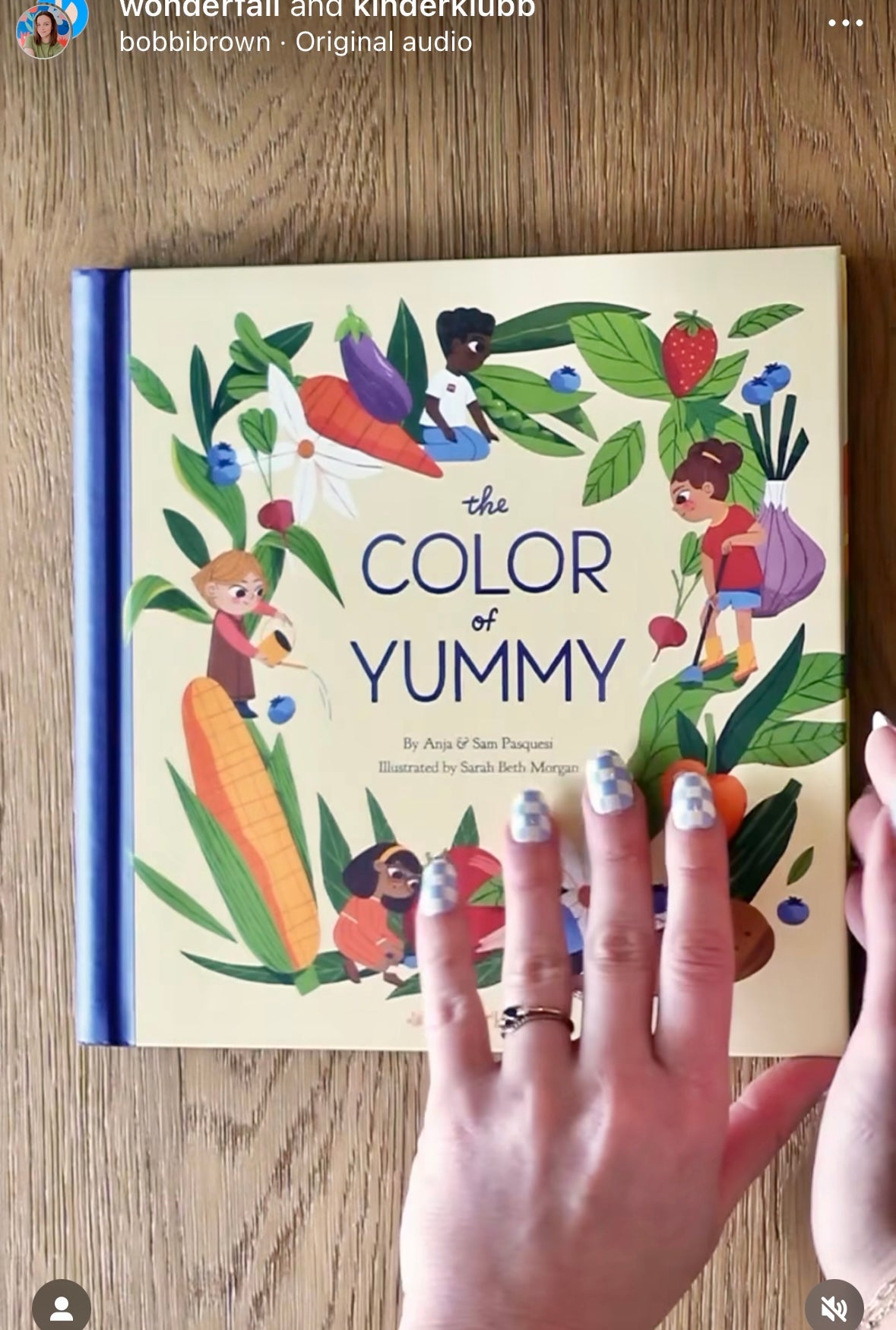 The Color of Yummy: A Lift-the-Flap Hardcover Book Books