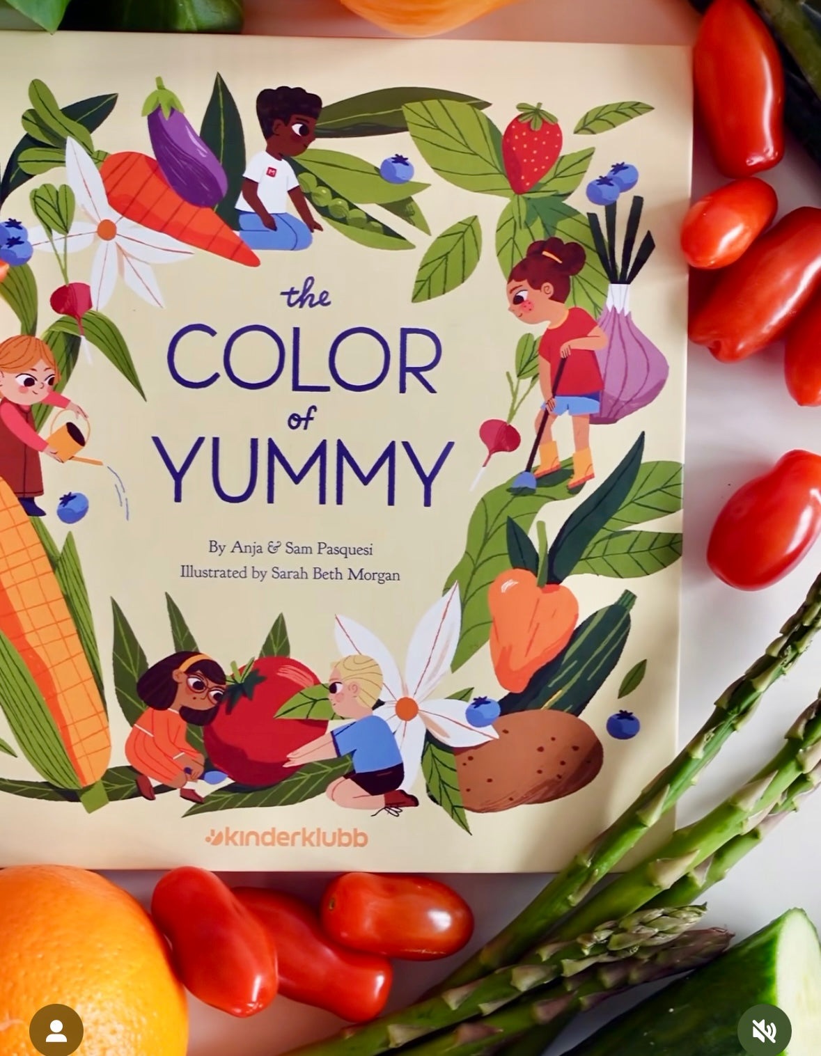 The Color of Yummy: A Lift-the-Flap Hardcover Book Books