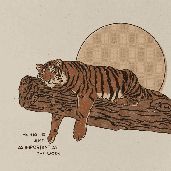 Rest Tiger Print Home Decor